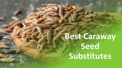 Substitute For Caraway Seeds & Alternative Replacement: Top 5 Picks