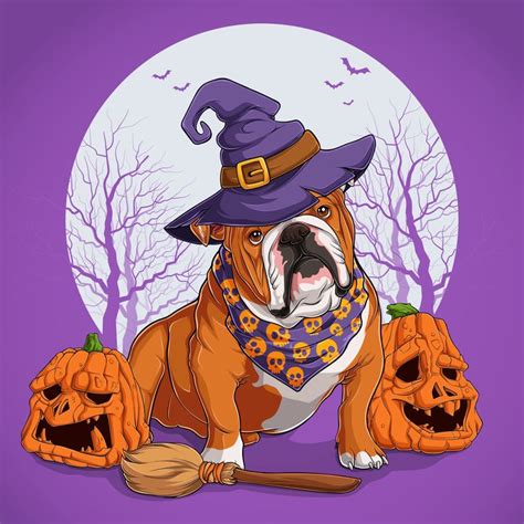 English Bulldog in Halloween disguise sitting on a broom and wearing ...