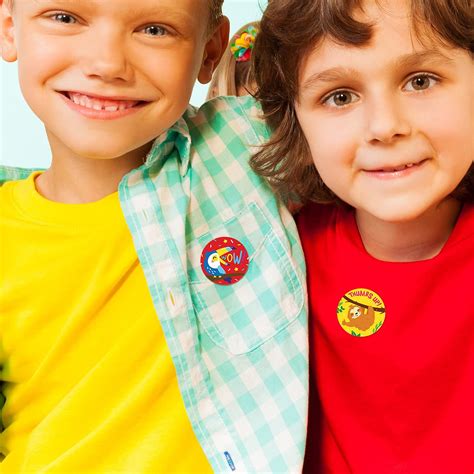 Sweetzer & Orange Reward Stickers for Teachers. 1008 Stickers for Kids in 9 Designs. 1 Inch ...
