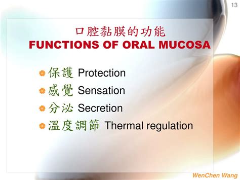 PPT - Oral Mucosa & Salivary Gland 口腔黏膜及唾液腺 PowerPoint Presentation ...