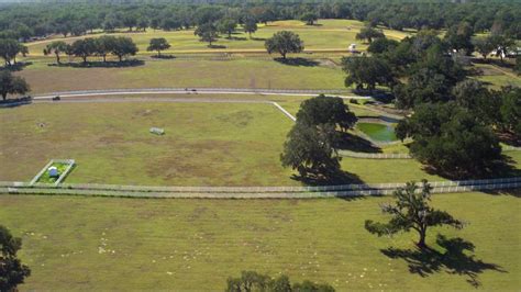 Tour Awe-Inspiring Ocala Horse Farms | VISIT FLORIDA