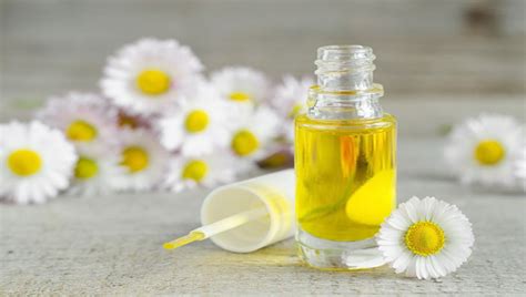 4 Benefits Of Chamomile For Skin – Home Remedies Of Chamomile For Skin ...