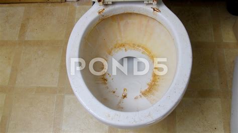 Actual Guante Encarnar cleaning really dirty toilet bowl compañero ...