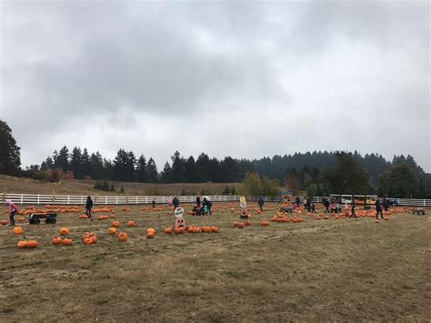 Roloff Farms Tour: Photos of 'LPBW' Family Property in Oregon