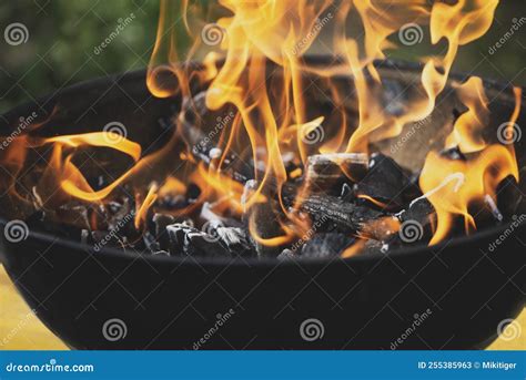 Bright Flame of a Fire in a Brazier with Firewood Stock Image - Image of celebrate, bright ...