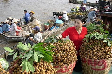 What Insiders Say About Can Tho Floating Market Tour | Travel Sense Asia™ – Vietnam Tours, Laos ...