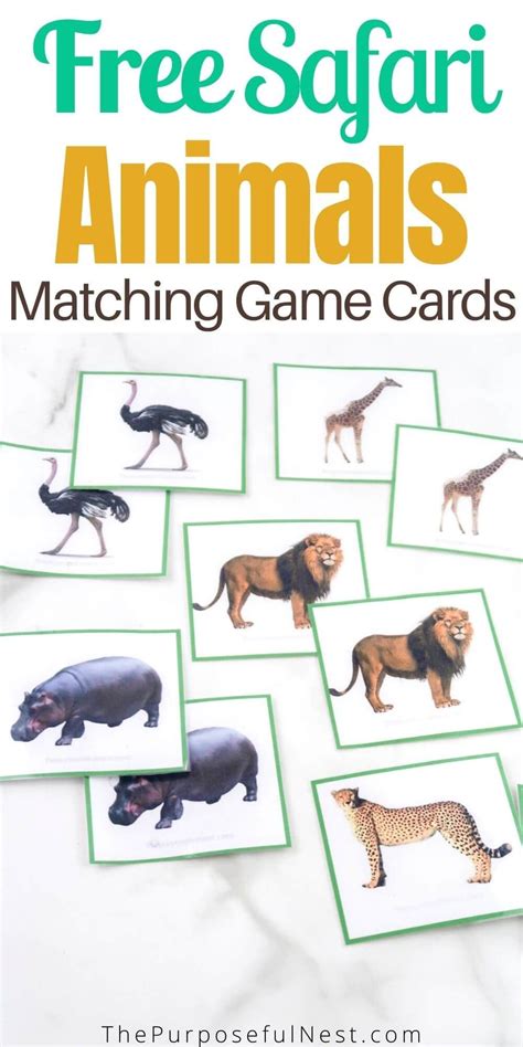 Free printable animal matching cards – Artofit