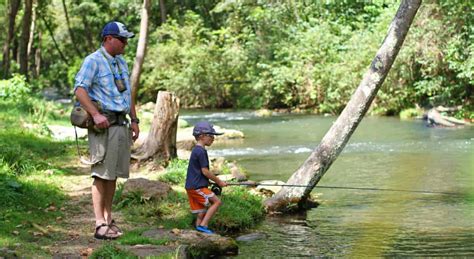 Fly Fishing for Trout with Kids at Dry Run Creek, Arkansas