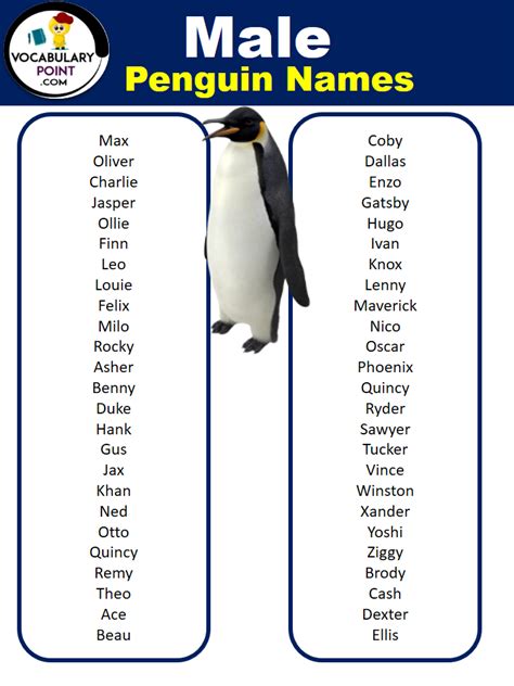 400+ Most Famous Penguin Names - Vocabulary Point