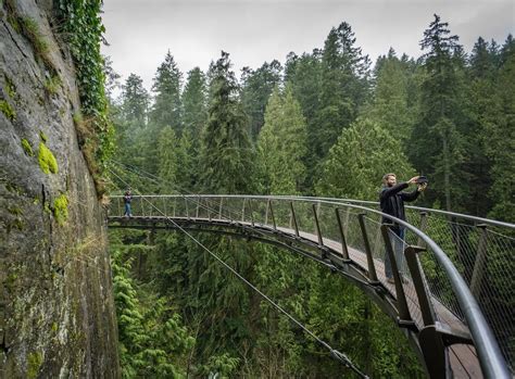 Is Visiting Capilano Suspension Bridge Worth it? - It Started Outdoors