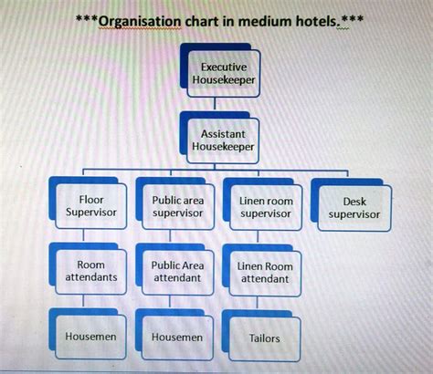 Hierarchy of Housekeeping in small, medium, large and chain hotels - IHMNOTESSITE