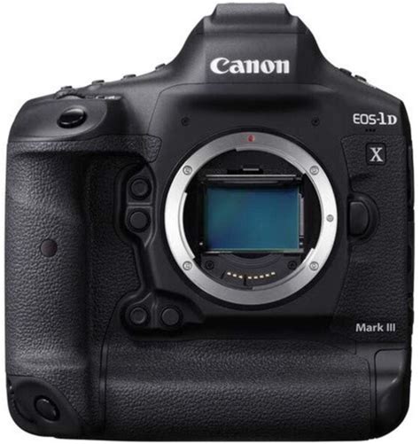 Best Canon DSLR Cameras for Beginners, Enthusiasts, and Pros - 2021 Review