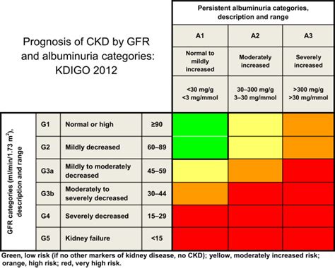 KDIGO 2018 Clinical Practice Guideline for the Prevention, Diagnosis ...