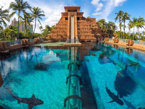 Leap of Faith Water Slide Bahamas Island, Island Resort, Nassau, Cool ...