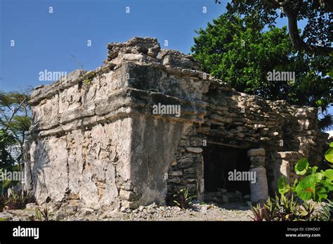 Mayan ruins at Playa Del Carmen, Mexico Stock Photo - Alamy