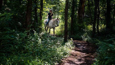 Horseback Riding and Hiking in the Poconos Guide