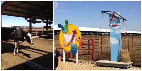 Shamrock Farms Tour {Travel Tuesday} | Desert Chica