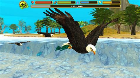 Eagle Simulator - Download