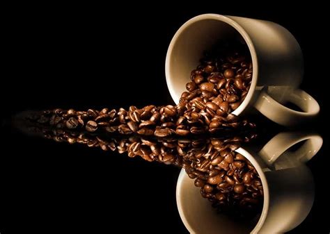 7 Best Coffee Beans For Latte [2024 Review] - Fueled By Coffee