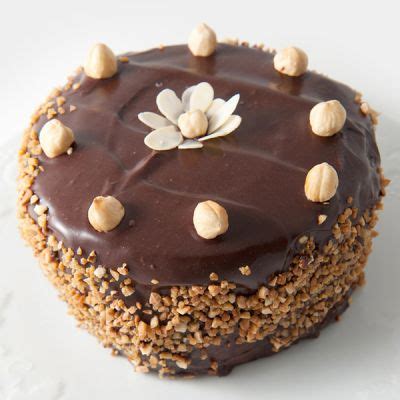 Chocolate Ganache Nut Torte Recipe