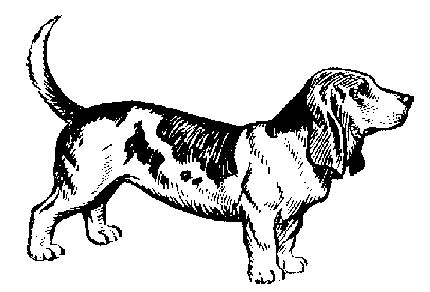 Basset Hound Clip Art - Cliparts.co