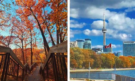 Where to see the stunning fall colors in Toronto - Ontario News