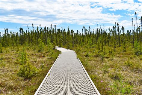 Big Bog State Recreation Area to host spring equinox celebration