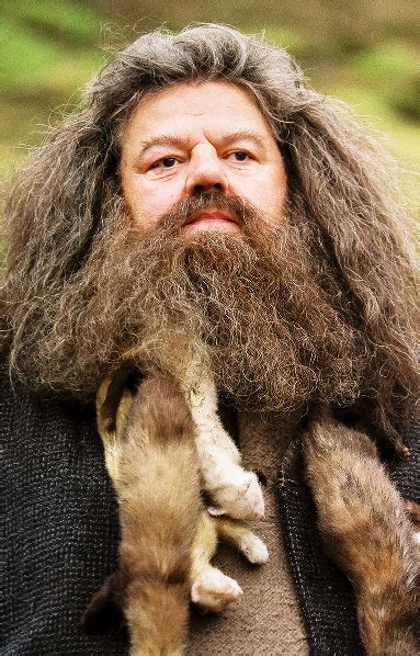 Professor Rubeus Hagrid (b. 6 December, 1928) was a half-giant wizard, son of Mr Hagrid and the ...