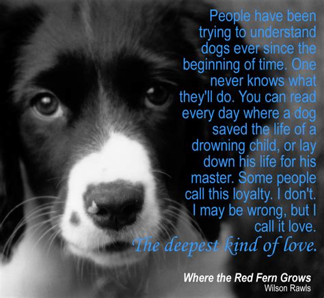 Where the Red Fern Grows by Wilson Rawls Quote "People have been trying to understand dogs since ...