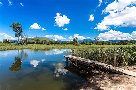 Hong Kong Wetland Park - New Territories Attractions - Go Guides