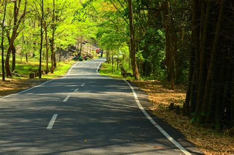 Free stock photo of kerala, natural beauty