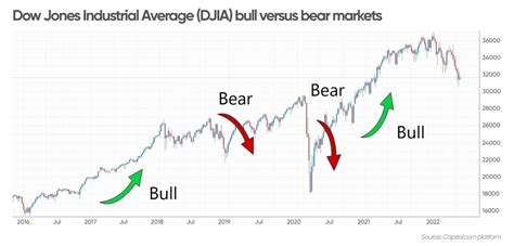 Bull market vs Bear market: Everything you need to know