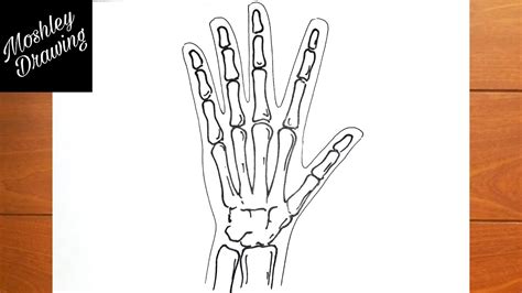 Comment dessiner une radiographie d'une main humaine