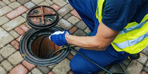 Septic Repair 101: What Are the Most Common Causes of Septic System Problems? | Sewer & Drain Medic