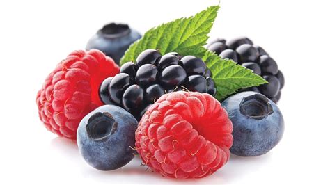 Nutrition Picks – Northwest berries: Prolific protectors | PCC Community Markets