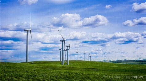 gallereplay | Wind Turbines in Field