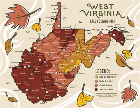 Mid-October marks peak colors for Northern Panhandle fall foliage | WTOV