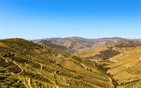 Douro vineyards you should visit on your next trip to Porto