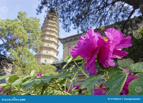 Twin Towers Temple stock photo. Image of building, flower - 91908634