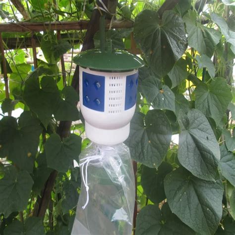 insect pheromone trap & Plastic moth traps for agricultural pest control management