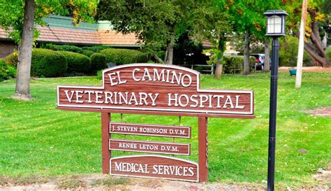 About Our Veterinary Hospital | El Camino Veterinary Hospital