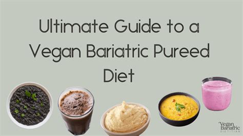 Pureed Recipes For Bariatric Patients | Dandk Organizer