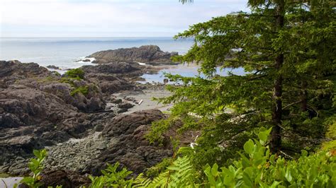 Peaceful Pictures: View Images of Pacific Rim National Park Reserve