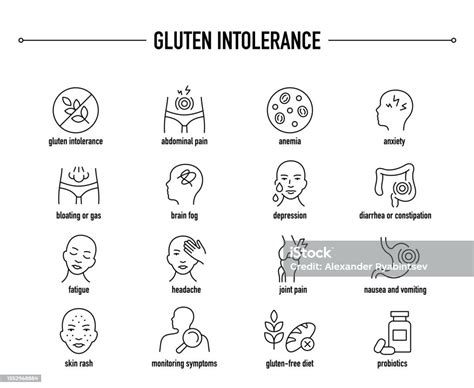 Gejala Intoleransi Gluten Set Ikon Vektor Diagnostik Dan Pengobatan Ilustrasi Stok - Unduh ...