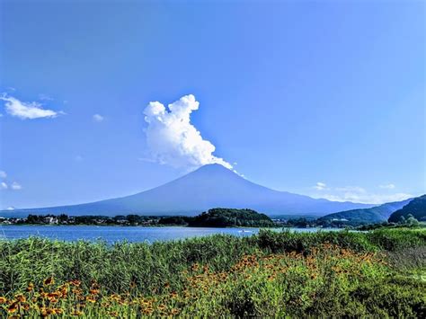 Premium Photo | Fuji mt at oishi park view