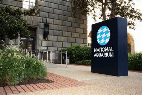 National Aquarium Launches Planning Phase for Washington DC Presence Blooloop