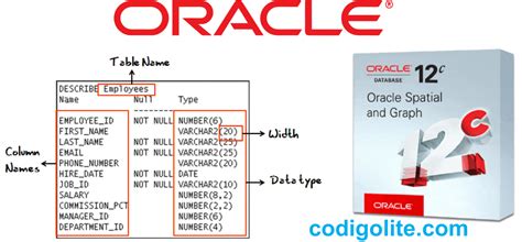 Tipos de datos en la base de datos Oracle Código Lite | Hot Sex Picture