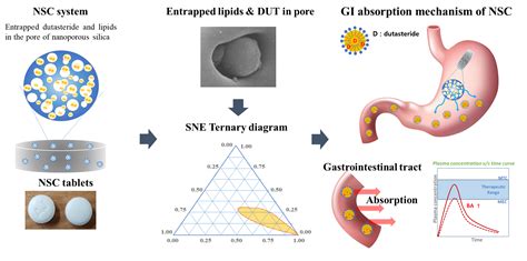 Nanoporous Silica Entrapped Lipid-Drug Complexes for the Solubilization ...