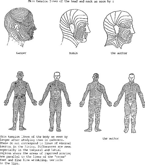 Figure 5 from Surgical implications of “fixed points”: A new concept in ...