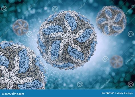 Dengue Virus Digital Image Structure. Stock Illustration - Image: 67447995